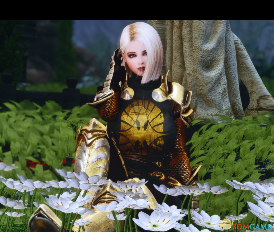 《上古卷轴5：天际重制版》秘银圣殿骑士套装MOD