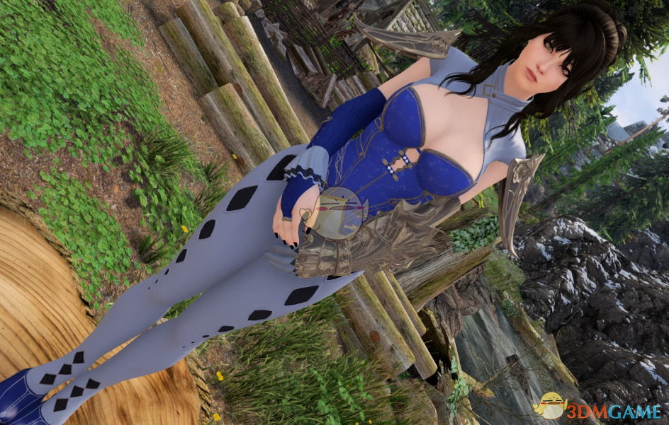 《上古卷轴5：天际重制版》精灵骑士盔甲MOD