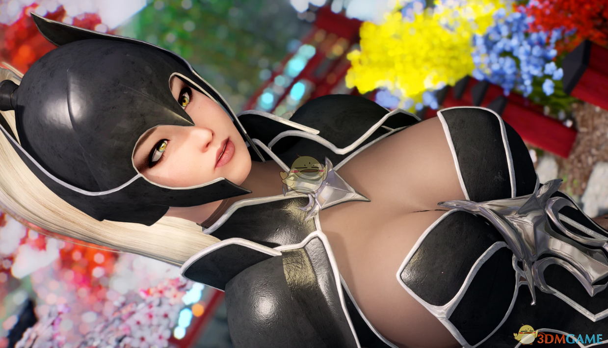 《上古卷轴5：天际重制版》黑暗精灵哨兵护甲MOD