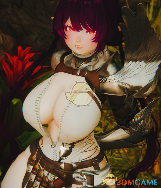 《上古卷轴5：天际重制版》金纳里装甲MOD