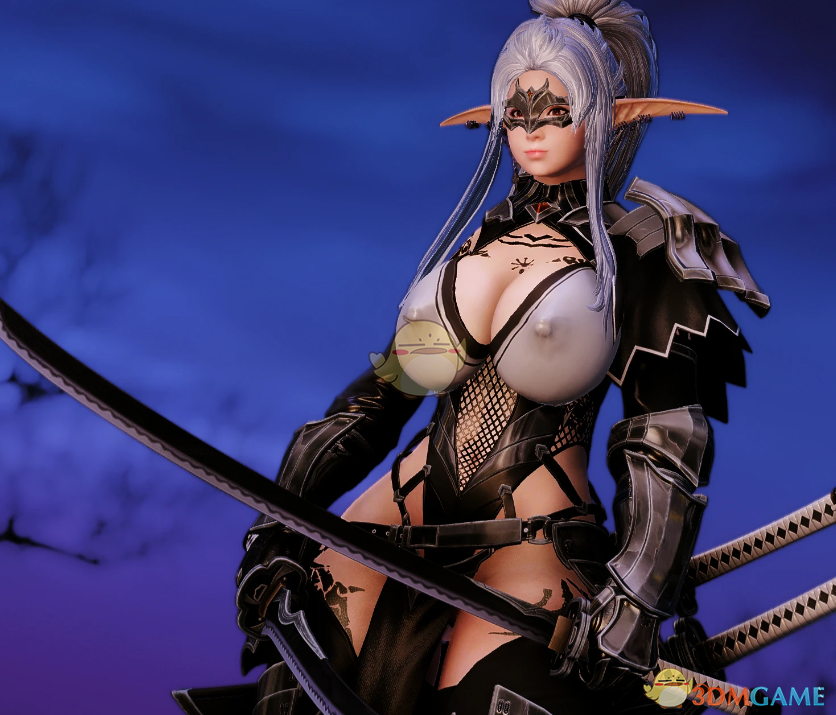 《上古卷轴5：天际重制版》黑暗精灵剑士装甲MOD