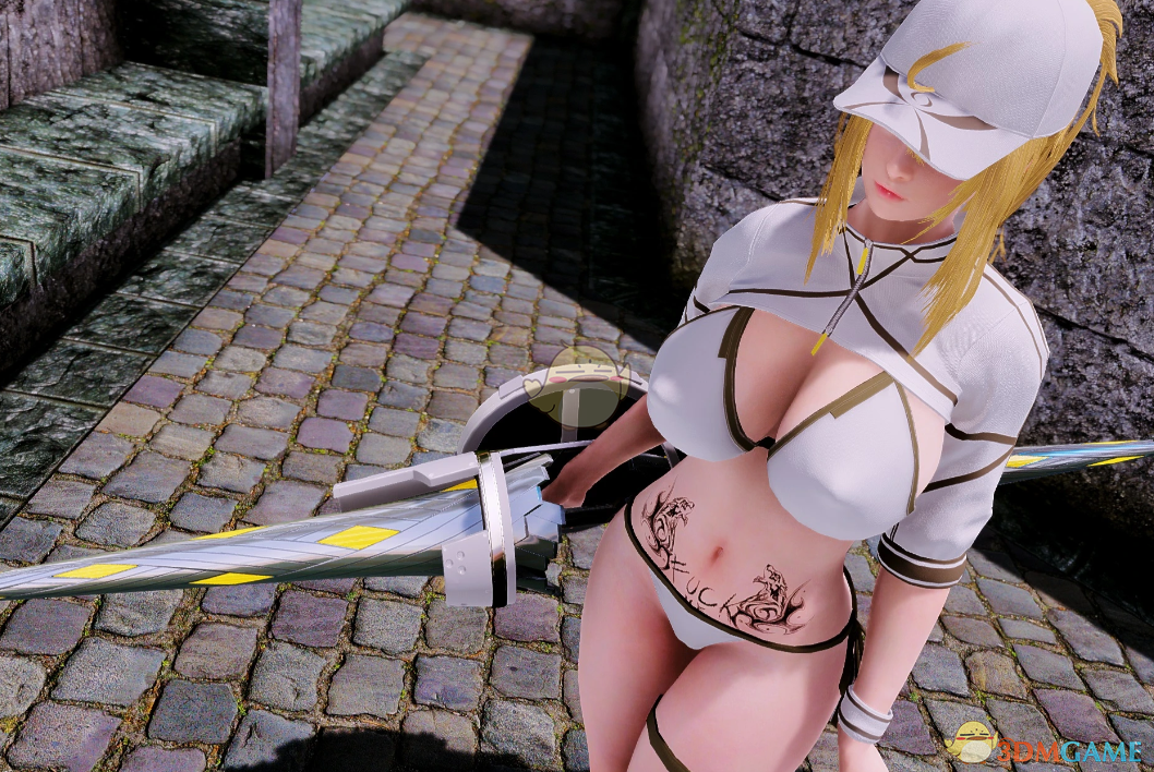 《上古卷轴5：天际重制版》FGO神秘女英雄套装MOD
