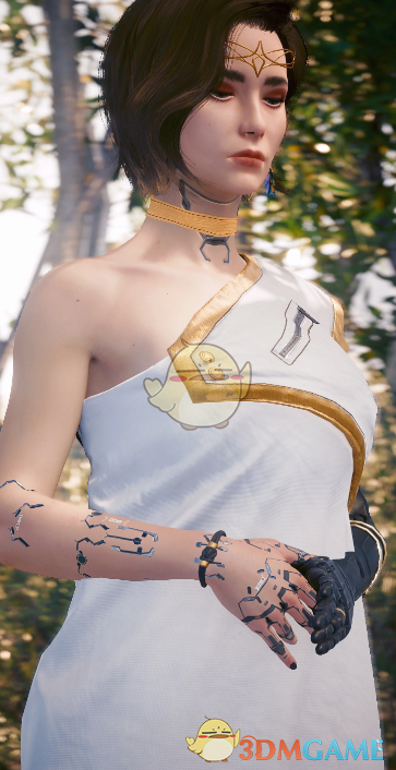 《赛博朋克2077》僧侣长袍MOD