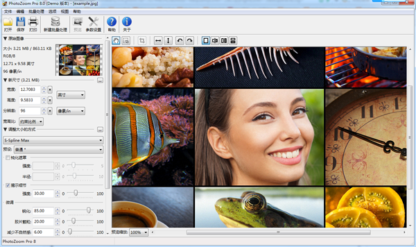 PhotoZoom Pro64位8.2.0.0