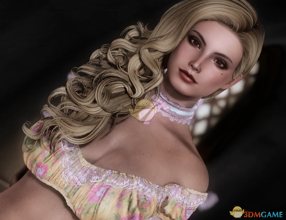 《上古卷轴5：天际重制版》欧美风女随从希拉MOD