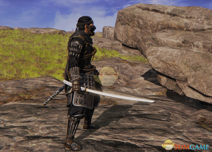 《艾尔登法环》扮演对马岛之魂境井仁MOD