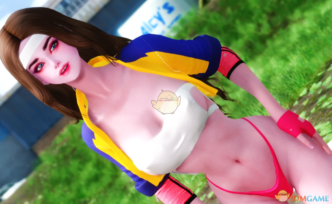 《上古卷轴5：天际重制版》街机零组特攻队女主角服装MOD