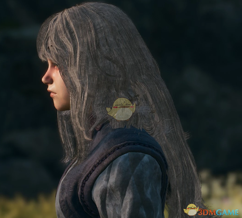 《龙之信条2》女性蓬松修长的发型MOD