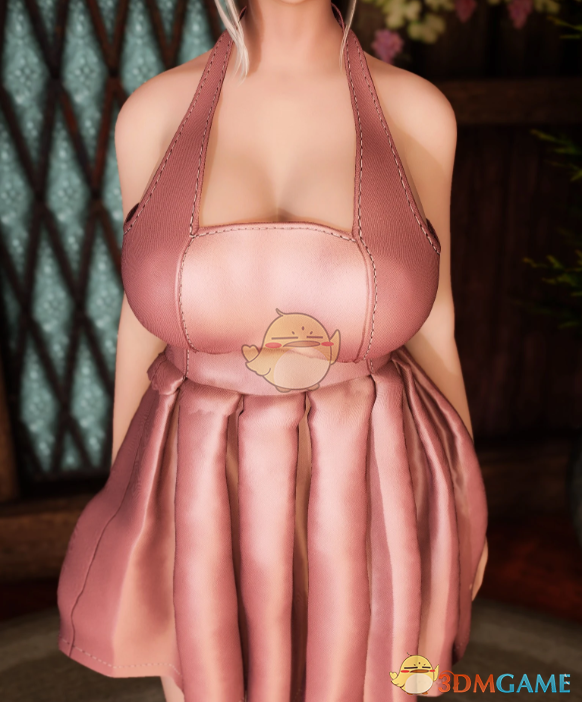 《上古卷轴5：天际重制版》皮革连衣裙MOD