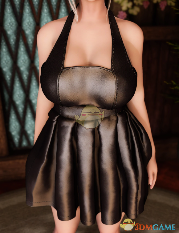 《上古卷轴5：天际重制版》皮革连衣裙MOD