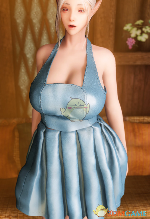 《上古卷轴5：天际重制版》皮革连衣裙MOD