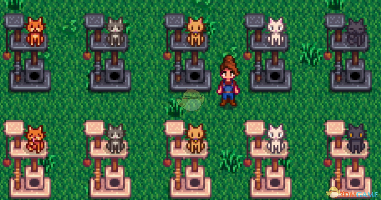 《星露谷物语》猫爬架上的猫MOD（动画）