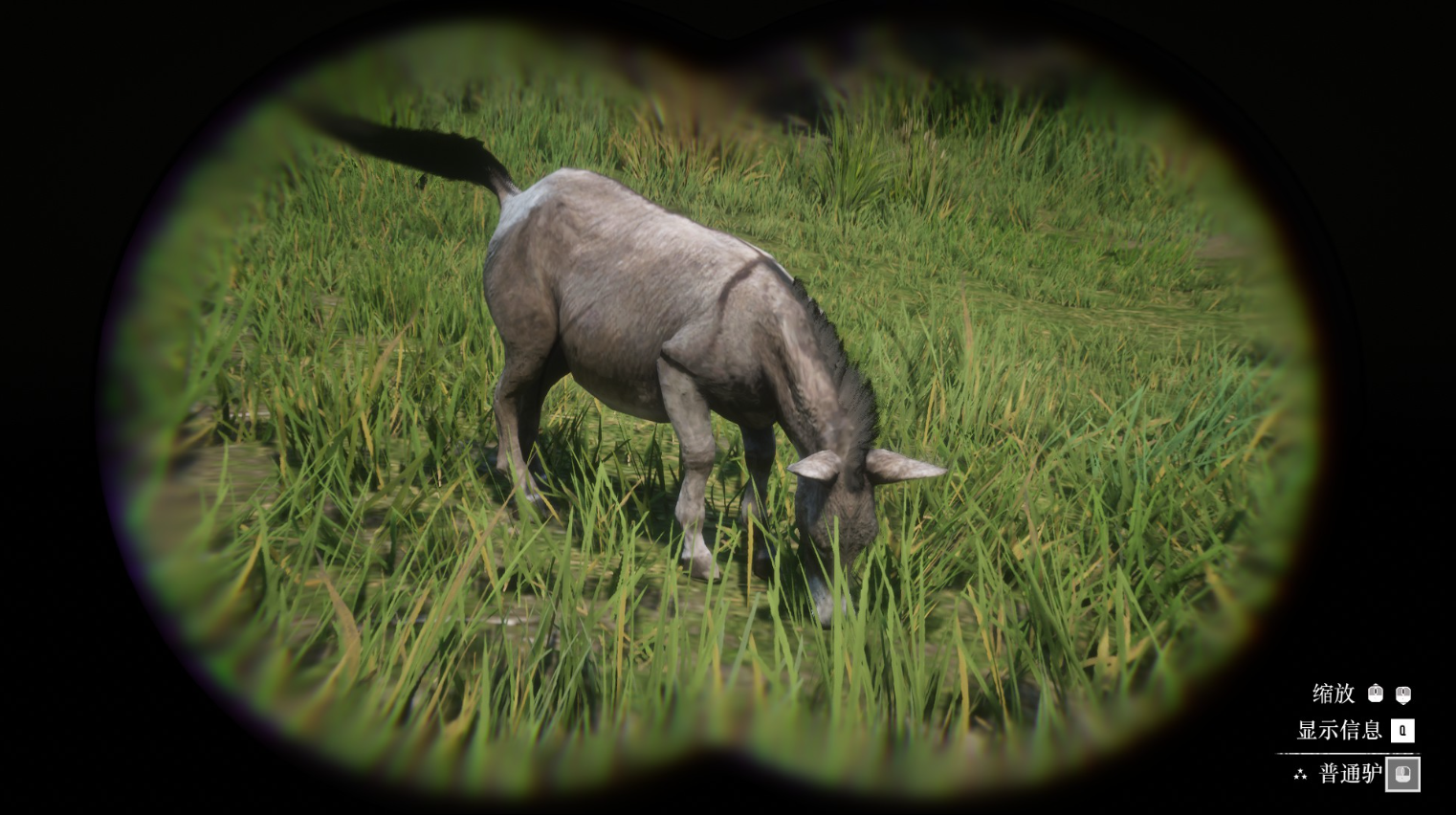 《荒野大镖客2》动物普通驴在哪里找