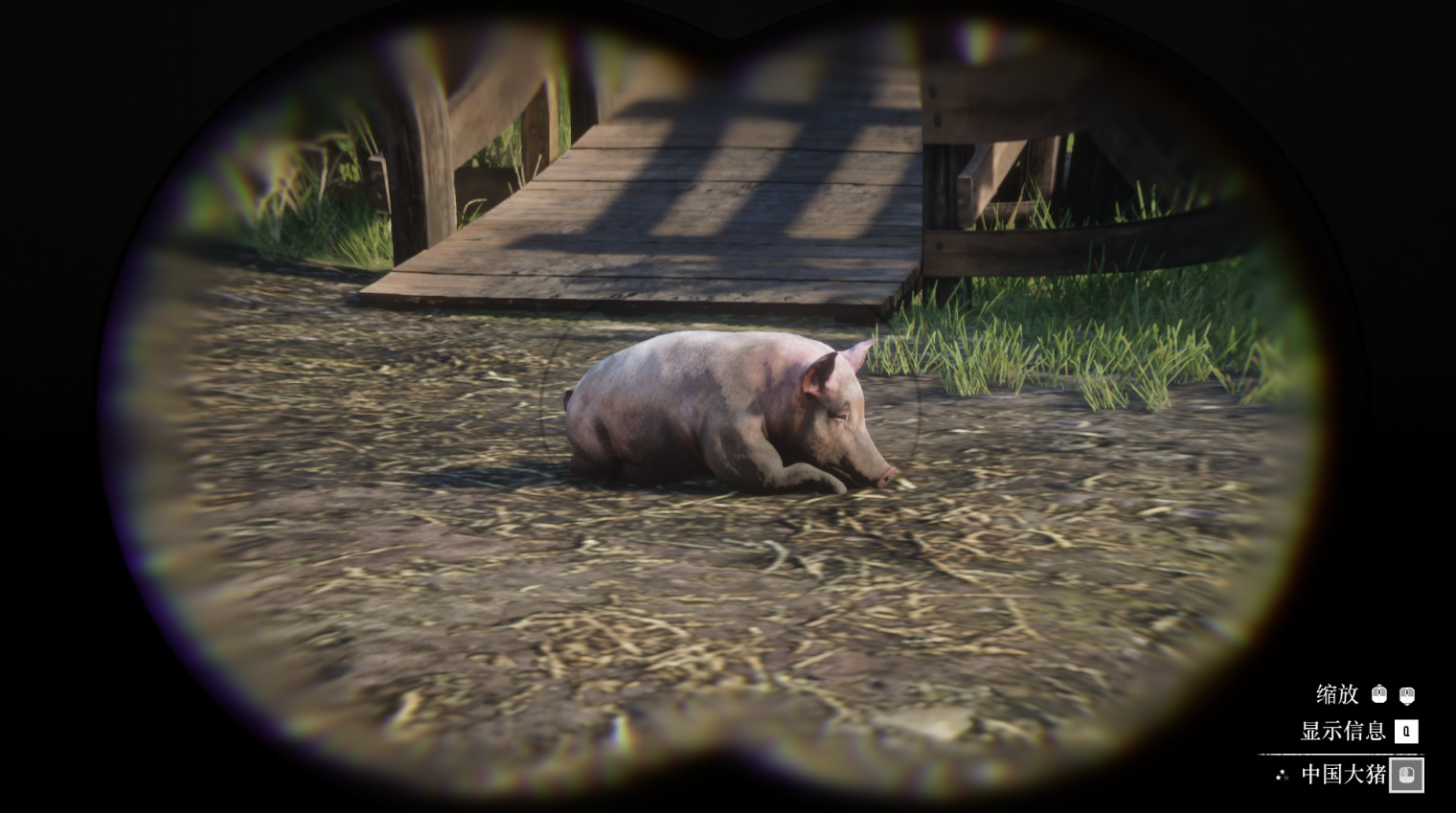 《荒野大镖客2》动物中国大猪在哪里找