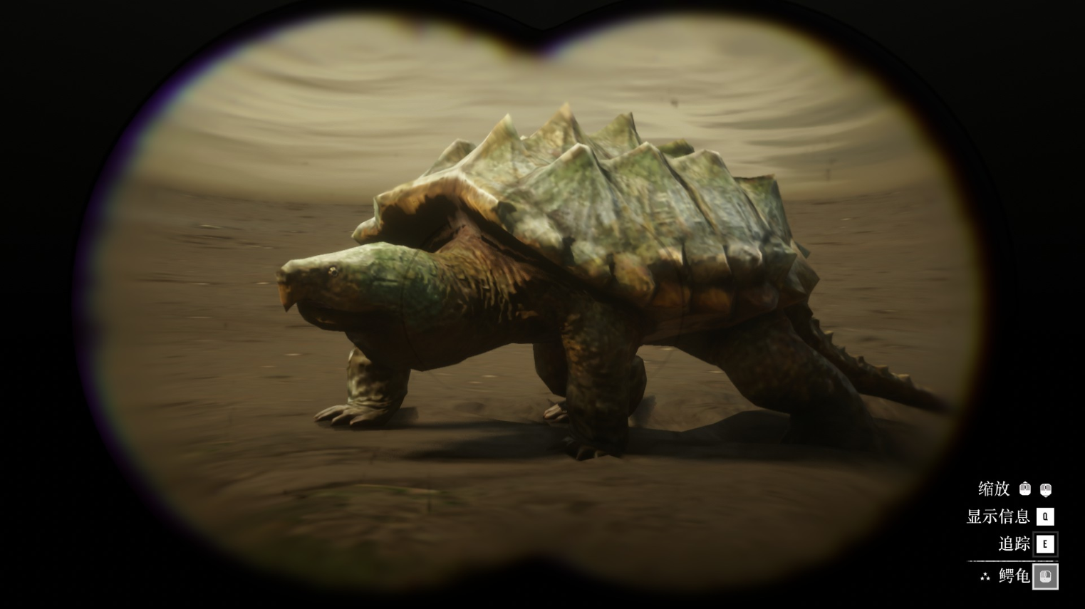 《荒野大镖客2》动物鳄龟在哪里找