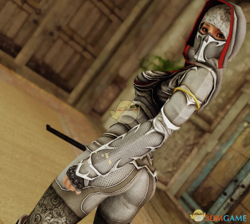 《上古卷轴5：天际重制版》黑色圣礼盔甲MOD