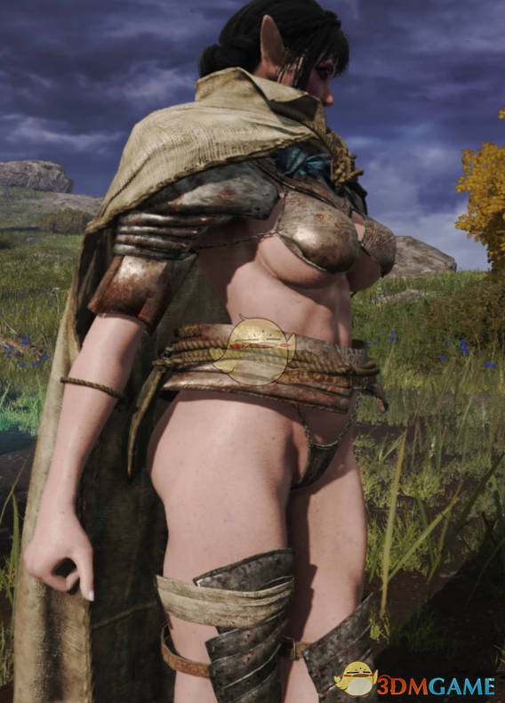 《艾尔登法环》流浪骑士铠甲比基尼化MOD