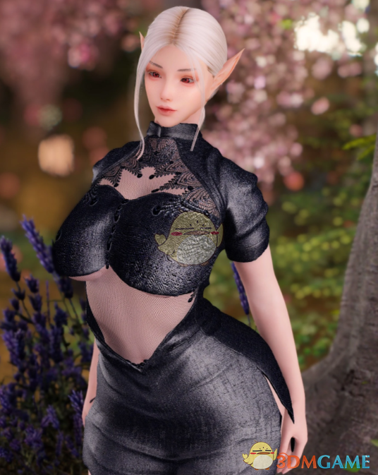 《上古卷轴5：天际重制版》蕾丝护士连衣裙MOD