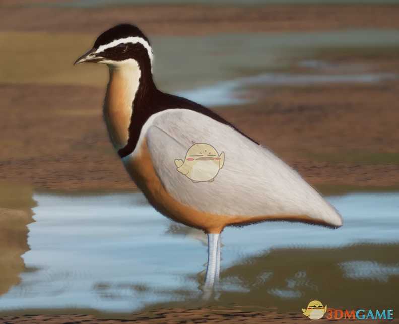 《动物园之星》新物种埃及鸻MOD