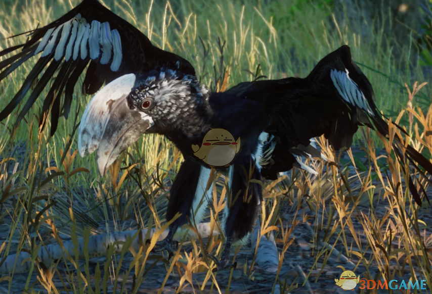 《动物园之星》新物种银颊噪犀鸟MOD