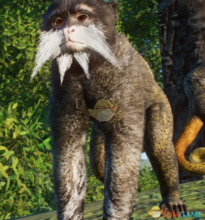 《动物园之星》新物种皇柽柳猴MOD