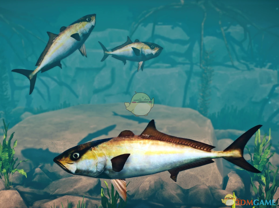 《动物园之星》新物种鰤鱼MOD