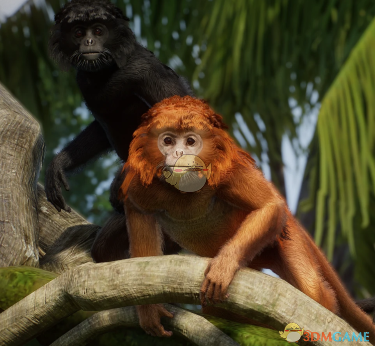 《动物园之星》新物种爪哇乌叶猴MOD