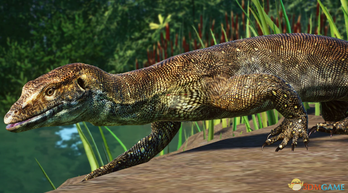 《动物园之星》新物种莫顿水巨蜥MOD