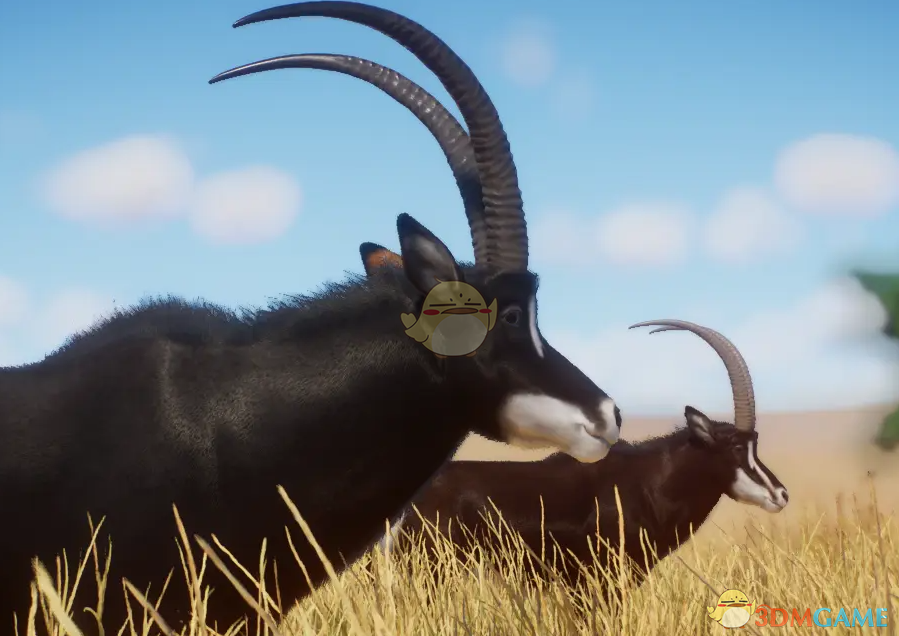 《动物园之星》重制黑马羚并构建新变体MOD