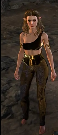 《博德之门3》休闲皮革MOD