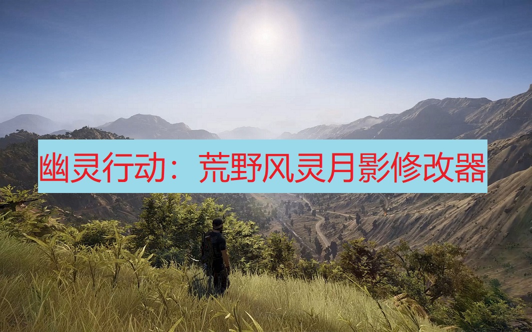 《幽灵行动：荒野》风灵月影修改器