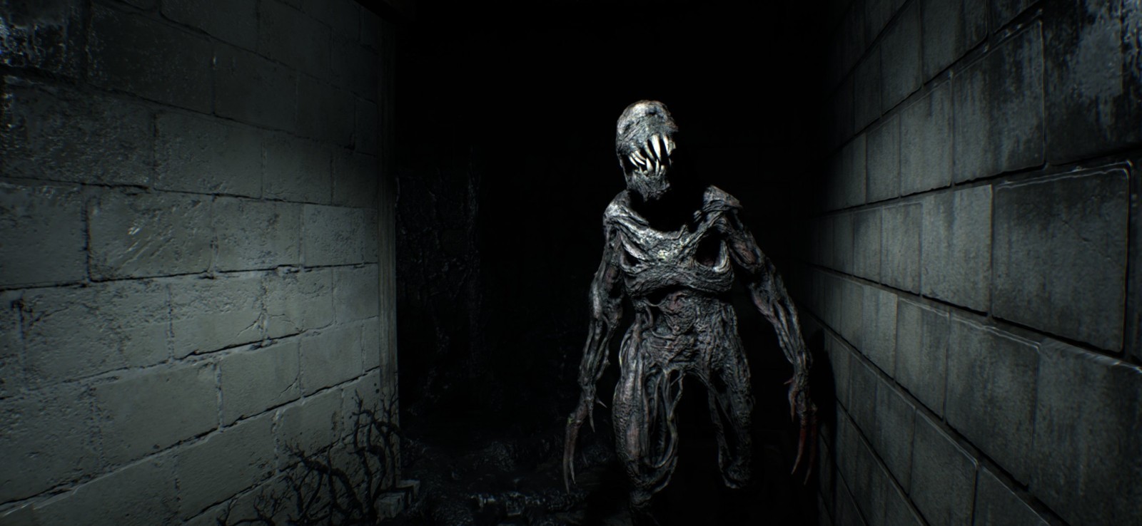 《生化危机7》电脑版