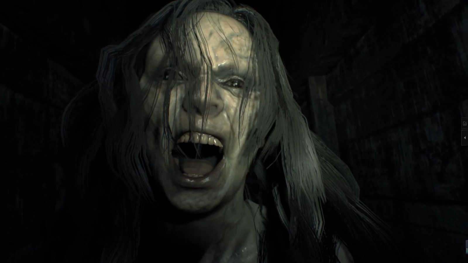 《生化危机7》电脑版