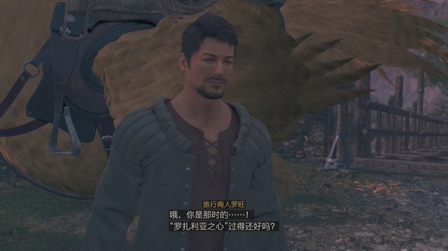 《最终幻想16》全剧情流程攻略 全支线任务全收集攻略