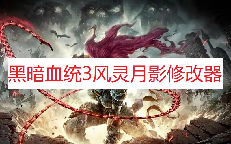 《暗黑血统3》风灵月影修改器