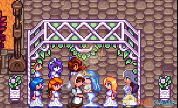 《星露谷物语》多角恋MOD