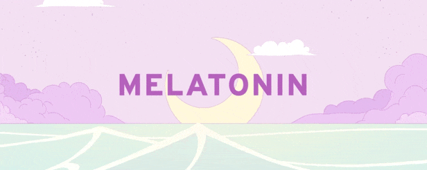《melatonin》免安装版
