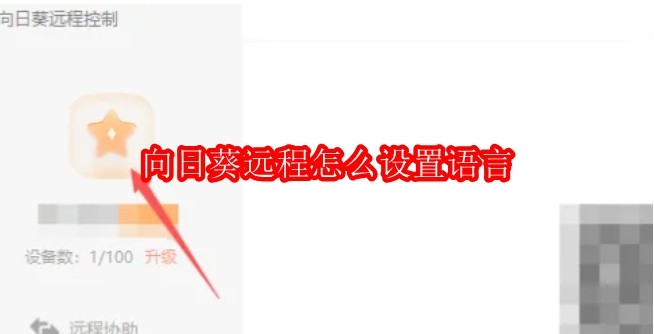 向日葵远程怎么设置语言
