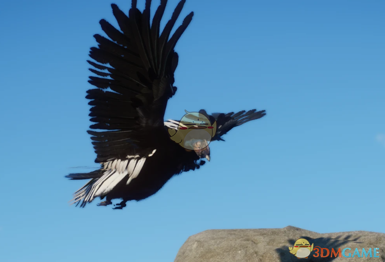 《动物园之星》新物种安第斯秃鹰MOD