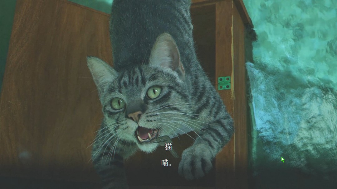 《杀青》游戏库