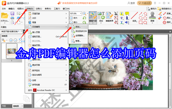 金舟PDF编辑器怎么添加页码