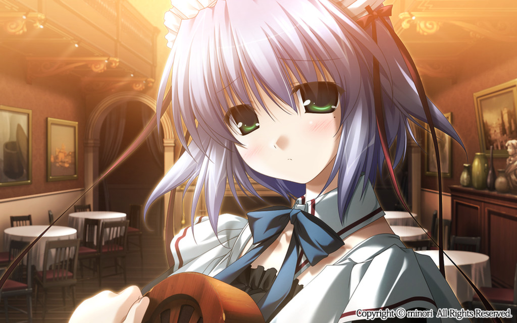 《伊甸园 》单机版