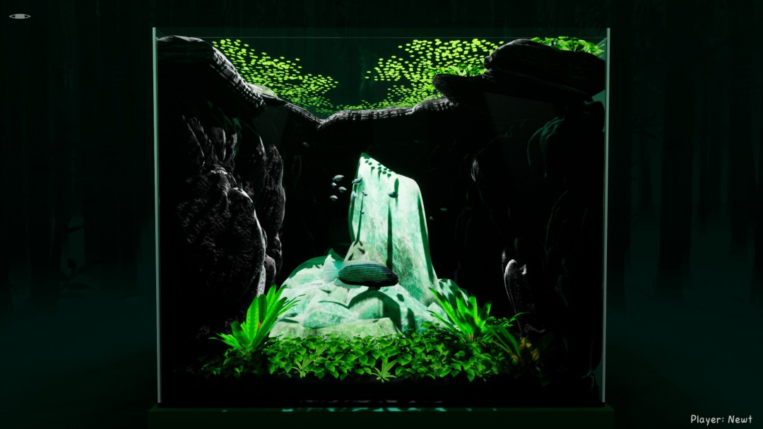 《养鱼模拟器》官方版