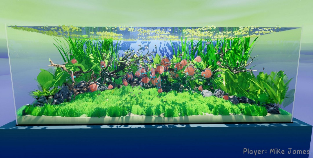 《养鱼模拟器》官方版