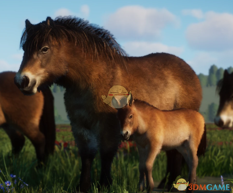 《动物园之星》新物种埃克斯穆尔矮马MOD