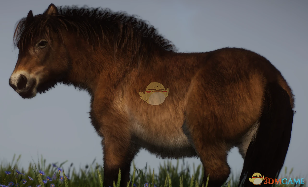 《动物园之星》新物种埃克斯穆尔矮马MOD