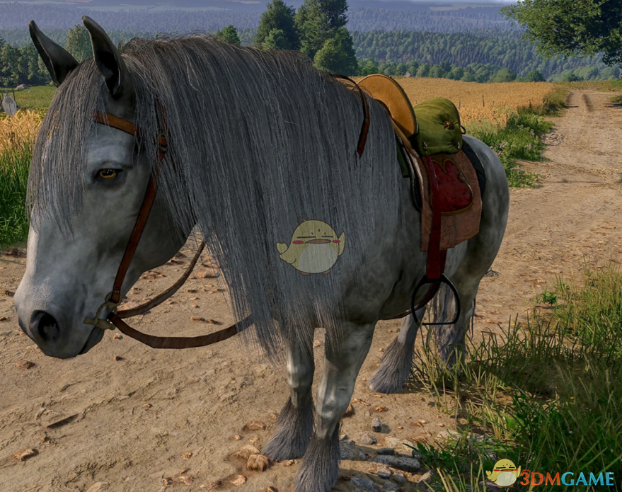 《天国：拯救2》更好的马匹鹅卵石MOD