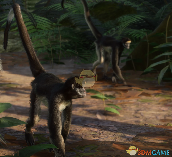 《动物园之星》新物种白腹蛛猴MOD