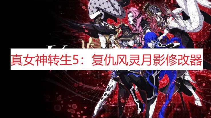 《真女神转生5》风灵月影修改器