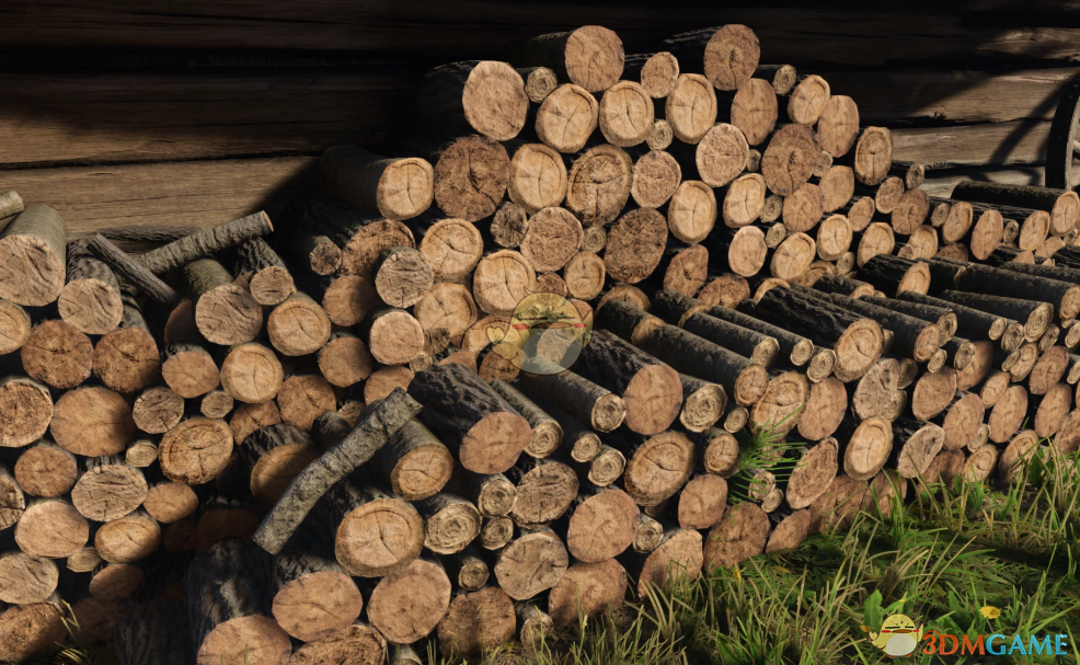 《天国：拯救2》可见性更好的画面预设MOD